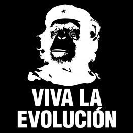 Che Guevara shirt Viva La Evolucion