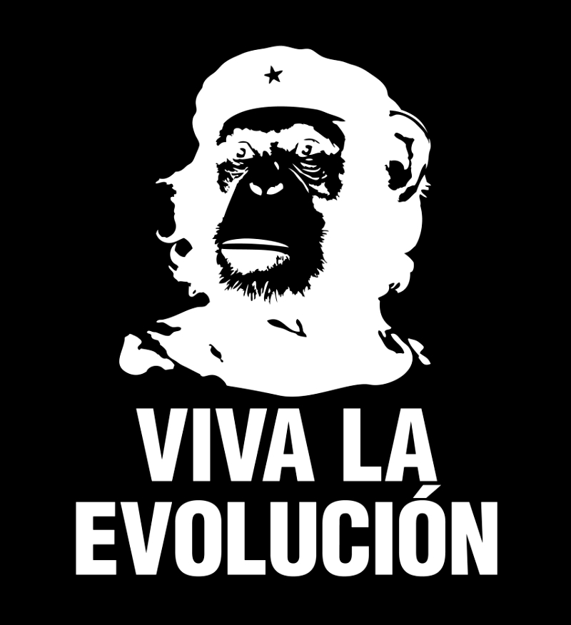 Che Guevara shirt Viva La Evolucion