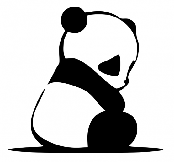 Sad panda kleding opdruk